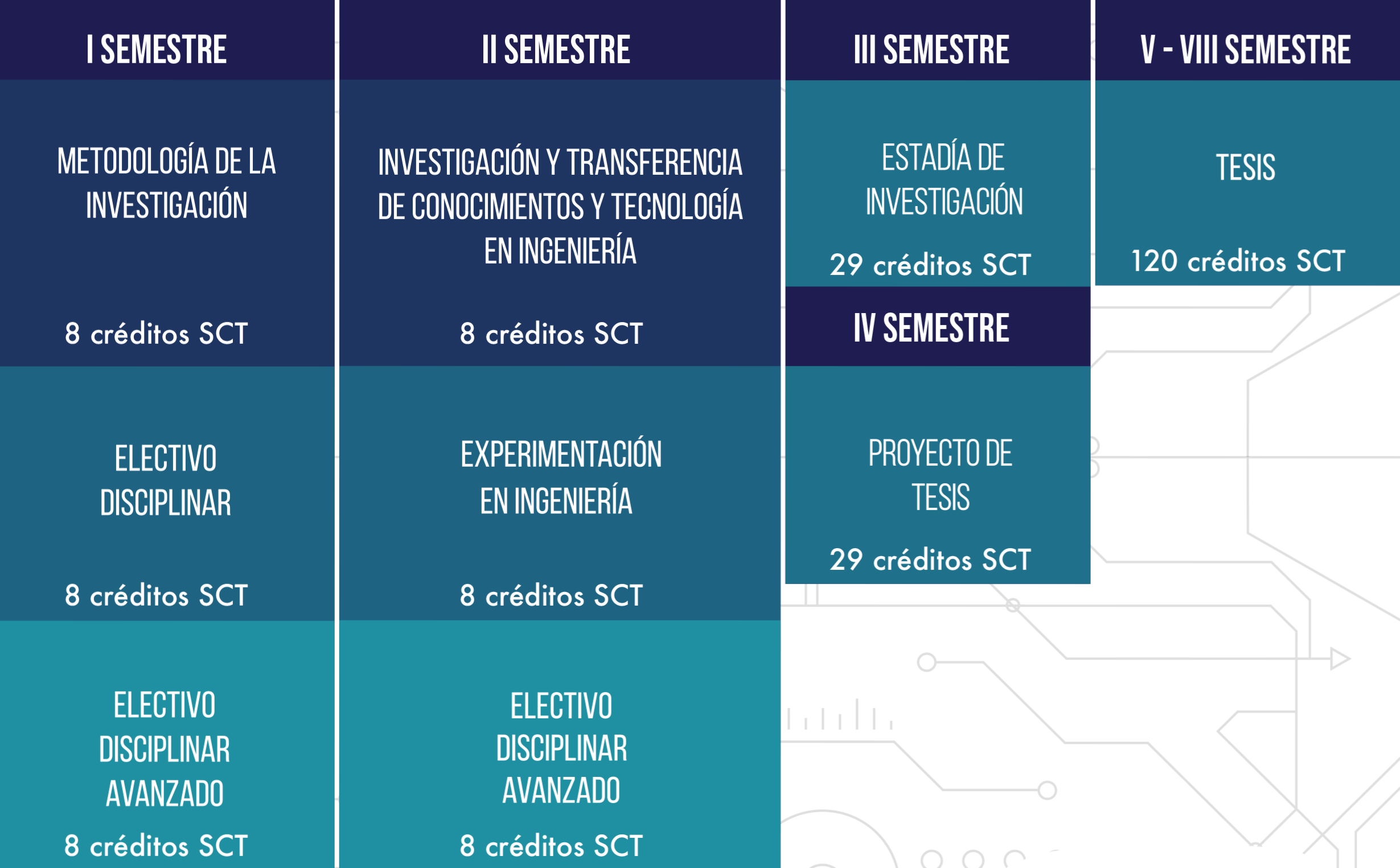 Programa Del Doctorado